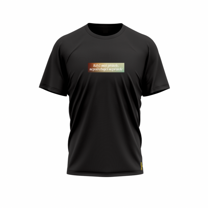 Když máš přátele, nepotřebuješ nepřátele